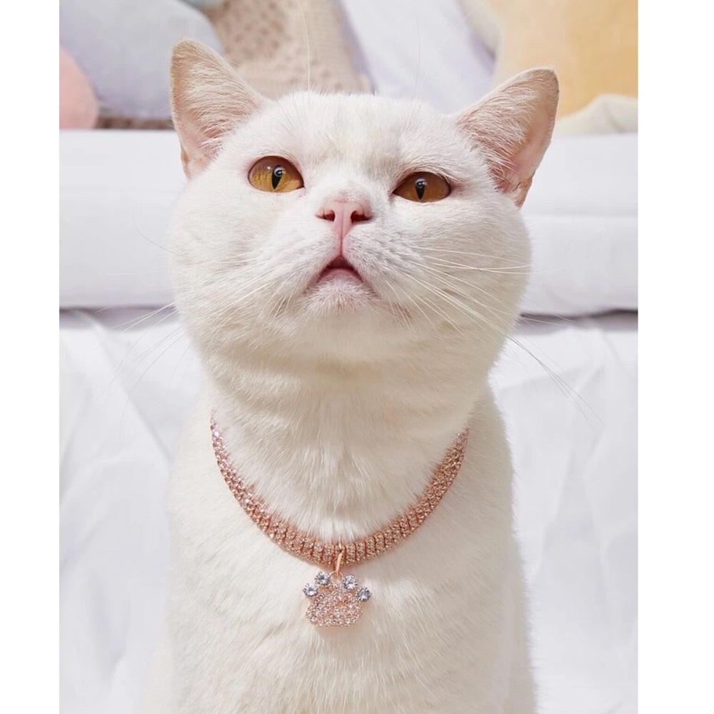 HP 🐶 Rhinestone Claw Pet Necklace 🐈